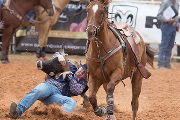 WJCAC All-Conference Rodeo